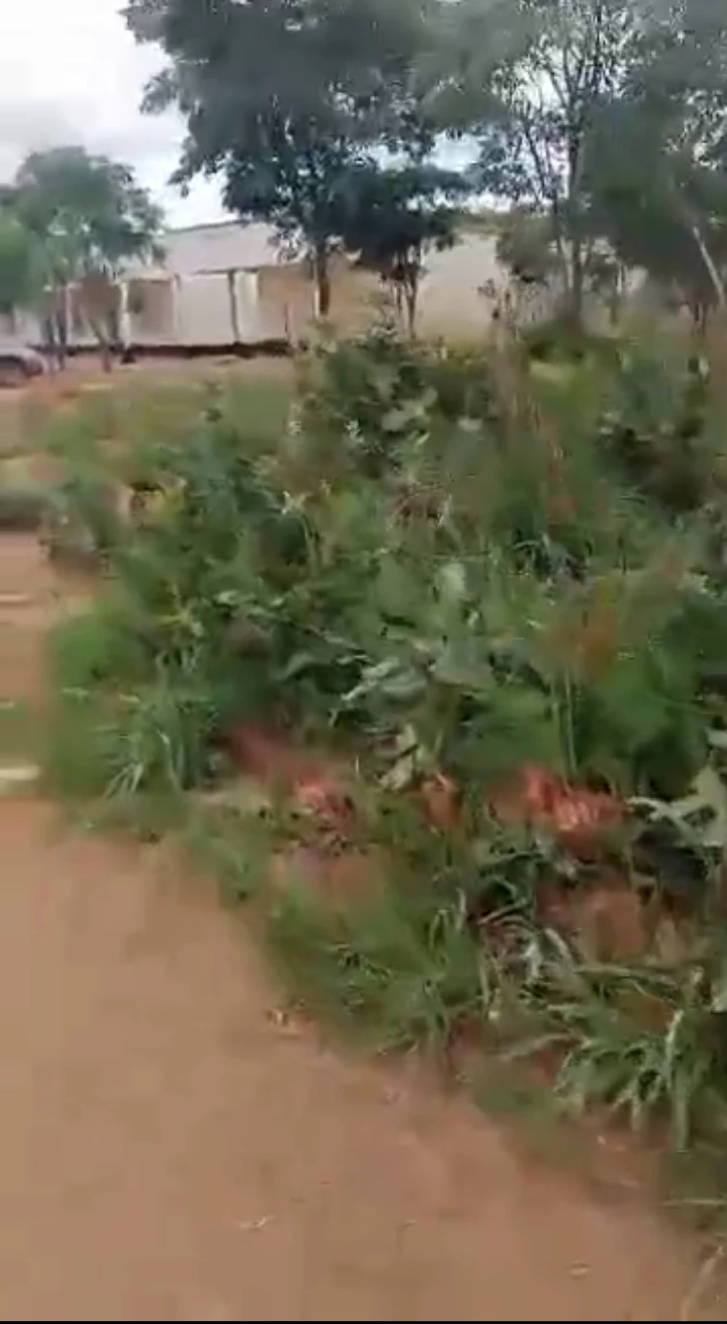 Terrain À Vendre / Lubumbashi